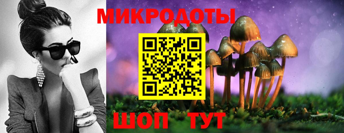 Псилоцибиновые грибы мухоморы Костомукша